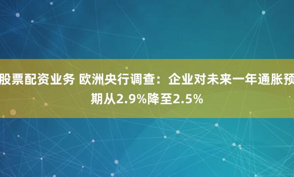 股票配资业务 欧洲央行调查：企业对未来一年通胀预期从2.9%降至2.5%